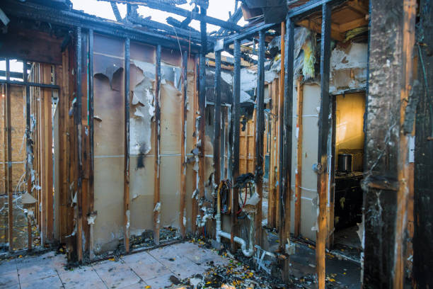 Professional Fire Damage Assessment technician working in Solomon, KS